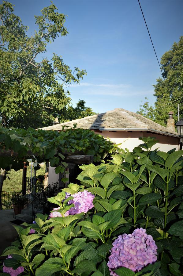 Hotel Adilon Tsagkarada Exterior foto